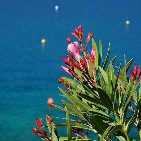 Suzie Q - Intermezzo With Sea View Apartman