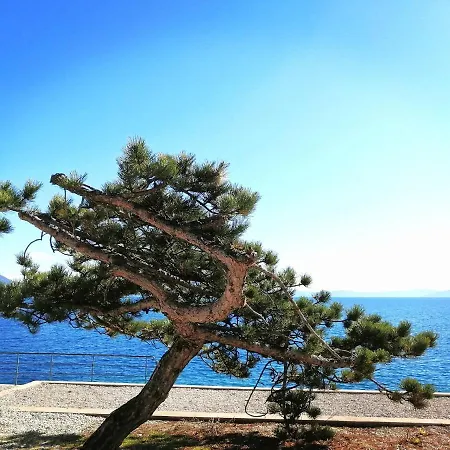 Suzie Q - Intermezzo With Sea View Apartment Rabac